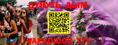 сатива Заводоуковск