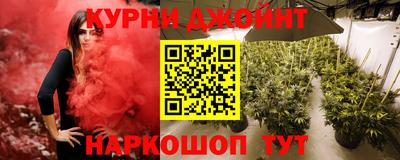 сатива Заводоуковск