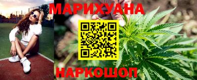 сатива Заводоуковск